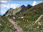 foto Forcella di Val Moena